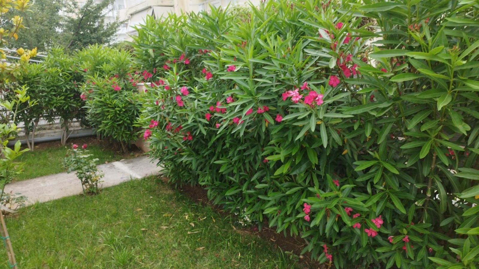 Renovated Apartment With Garden And Parking Space Peraía Exterior foto